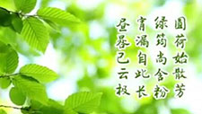 B  tôf